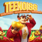 TEENOI88 รีวิวระบบออโต้ ฝากถอนใน 30 วิ รองรับทรูวอเล็ท